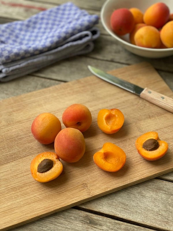 Produktfoto zu Aprikosen vom Obsthof Nachtwey
