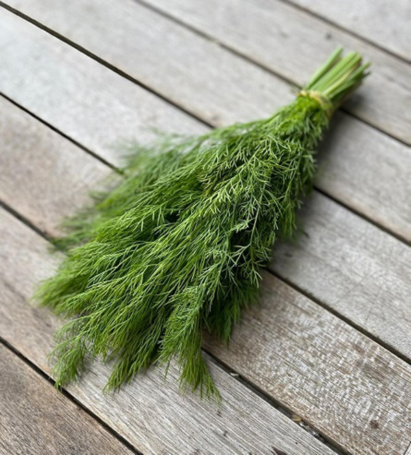 Produktfoto zu Dill, Bund