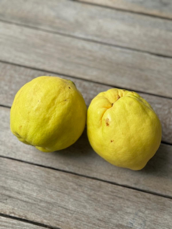 Produktfoto zu Quitten