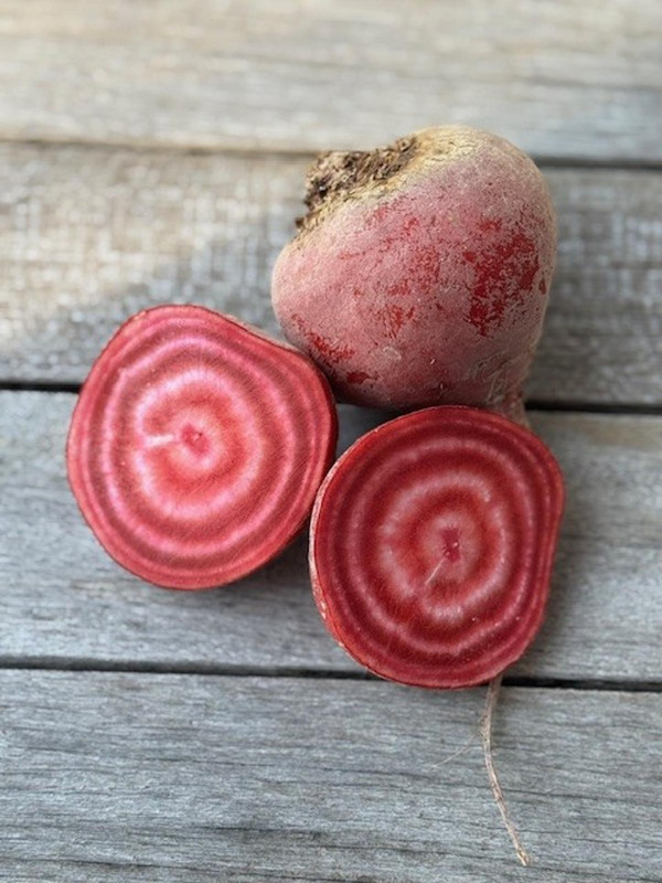 Produktfoto zu Rot_Weiss Geringelt Bete