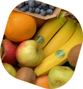 KI generiert: Das Bild zeigt eine Auswahl von verschiedenen Früchten, darunter Bananen, Äpfel, Orangen, Kiwi und Blaubeeren. Der Hauptinhalt des Bildes ist die Darstellung frischer, bunter Früchte.