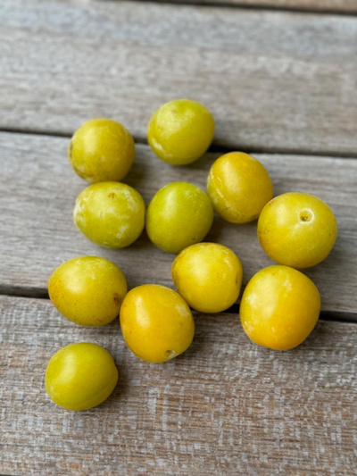 Produktfoto zu Mirabellen 300g