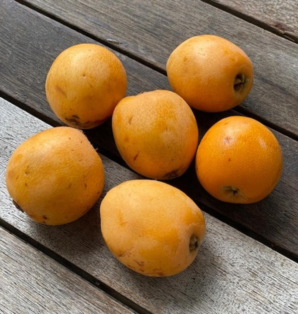 Produktfoto zu Mispeln 300g