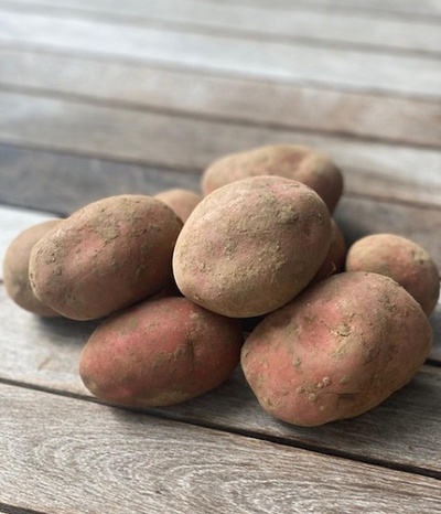 Produktfoto zu Rote Laura Kartoffeln 1kg, (vkf)