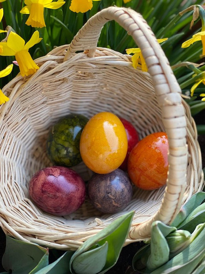 Produktfoto zu Bunte Eier  6 Stk. Gr. M