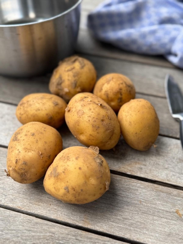 Produktfoto zu Frühkartoffeln 2 Kg Beutel Solist vfk