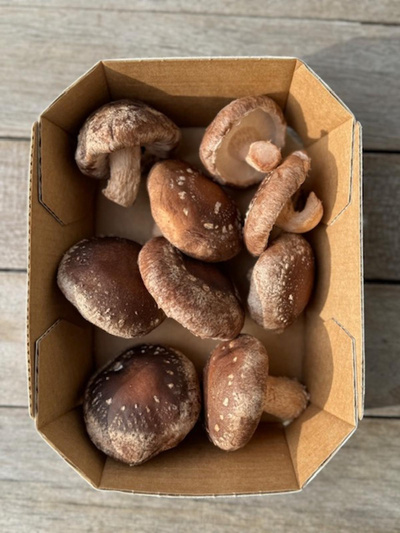 Produktfoto zu Shiitake 150 g