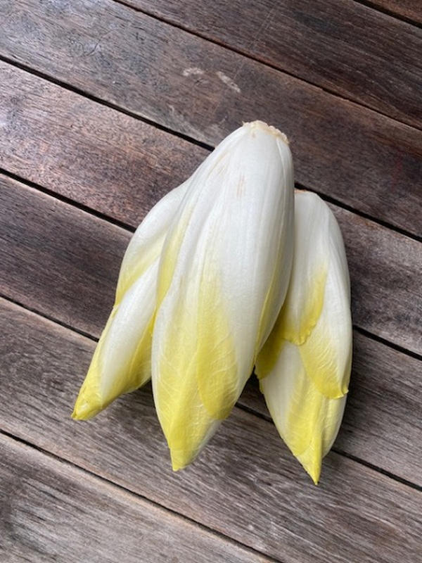 Produktfoto zu Chicorée