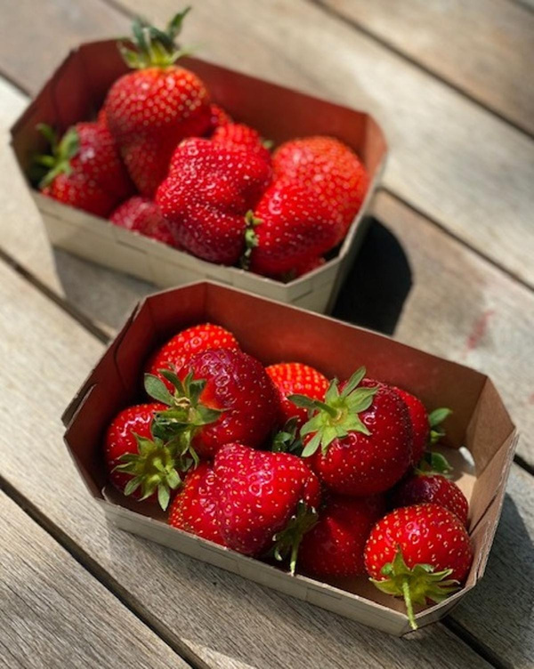 Produktfoto zu Erdbeeren 250g