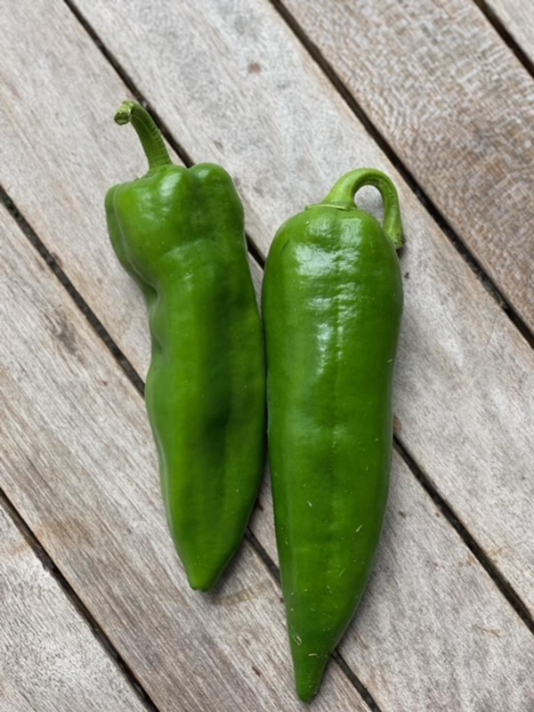 Produktfoto zu Spitzpaprika vom Biohof Bursch