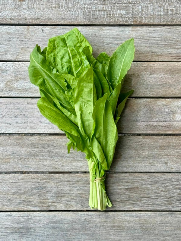 Produktfoto zu Sauerampfer