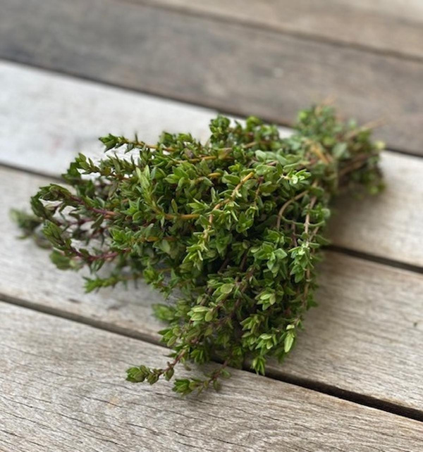 Produktfoto zu Thymian, Bund